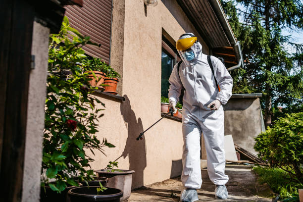 Best Pest Removal Services  in High Bridge, WA