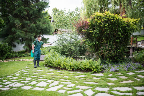 Best Best Pest Control Companies  in High Bridge, WA
