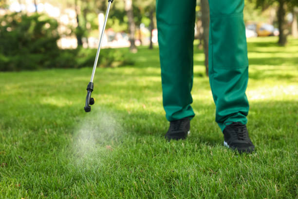 Best Pest Control Treatment  in High Bridge, WA