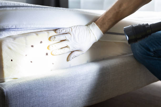 Best Residential Pest Control  in High Bridge, WA